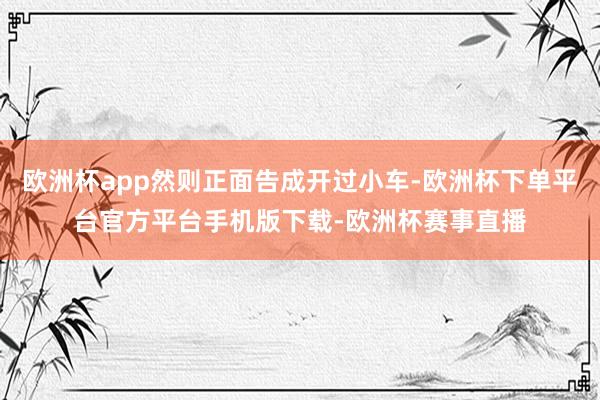 欧洲杯app然则正面告成开过小车-欧洲杯下单平台官方平台手机版下载-欧洲杯赛事直播