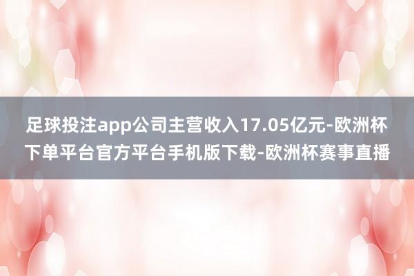 足球投注app公司主营收入17.05亿元-欧洲杯下单平台官方平台手机版下载-欧洲杯赛事直播