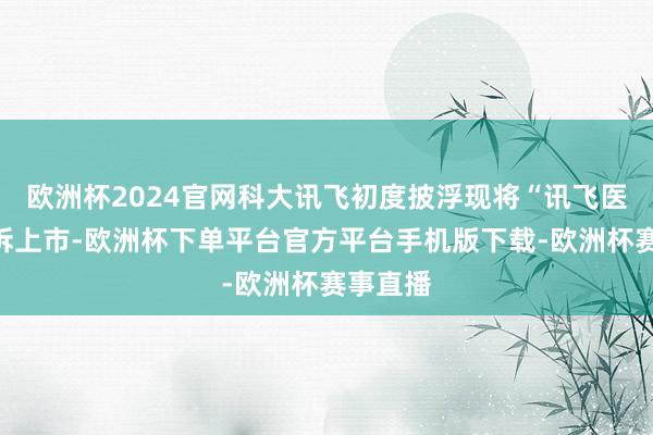 欧洲杯2024官网科大讯飞初度披浮现将“讯飞医疗”分拆上市-欧洲杯下单平台官方平台手机版下载-欧洲杯赛事直播