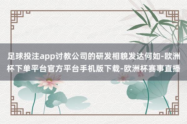 足球投注app讨教公司的研发相貌发达何如-欧洲杯下单平台官方平台手机版下载-欧洲杯赛事直播
