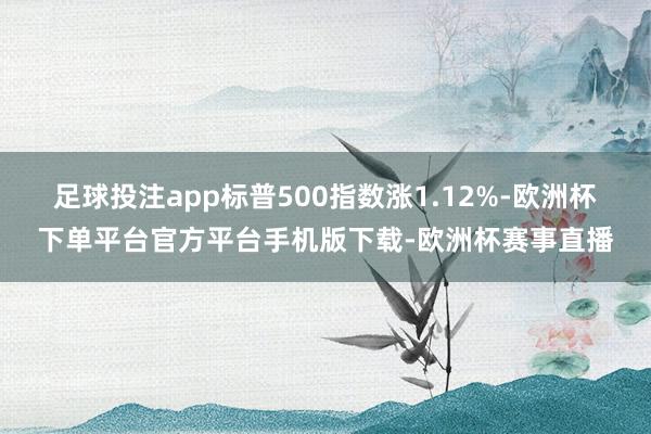 足球投注app标普500指数涨1.12%-欧洲杯下单平台官方平台手机版下载-欧洲杯赛事直播