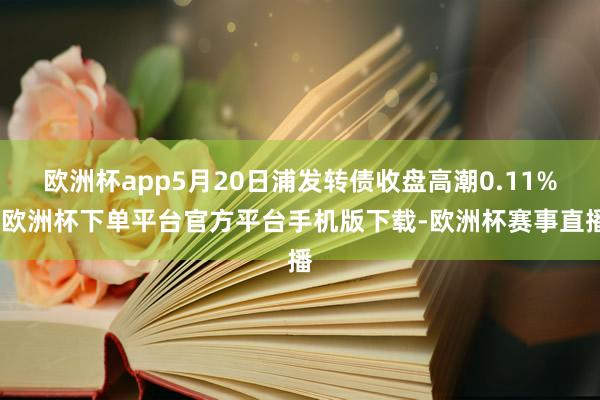欧洲杯app5月20日浦发转债收盘高潮0.11%-欧洲杯下单平台官方平台手机版下载-欧洲杯赛事直播