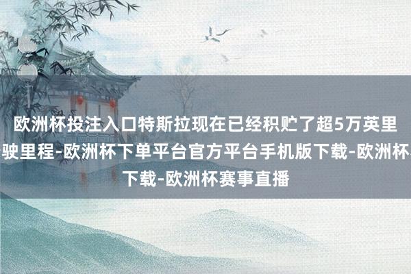 欧洲杯投注入口特斯拉现在已经积贮了超5万英里无骚动行驶里程-欧洲杯下单平台官方平台手机版下载-欧洲杯赛事直播