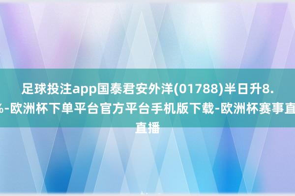 足球投注app国泰君安外洋(01788)半日升8.2%-欧洲杯下单平台官方平台手机版下载-欧洲杯赛事直播