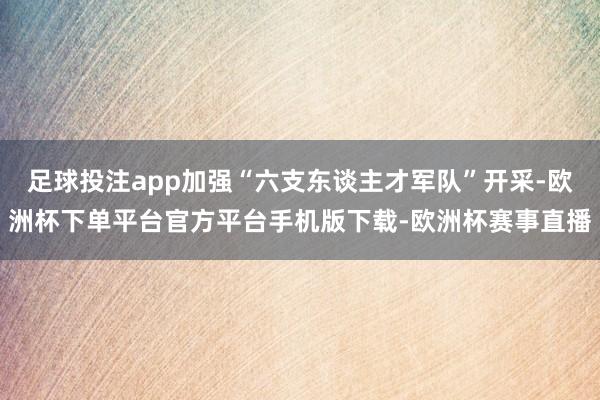 足球投注app加强“六支东谈主才军队”开采-欧洲杯下单平台官方平台手机版下载-欧洲杯赛事直播