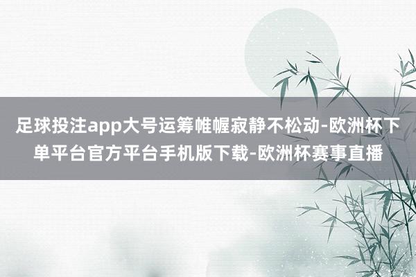 足球投注app大号运筹帷幄寂静不松动-欧洲杯下单平台官方平台手机版下载-欧洲杯赛事直播